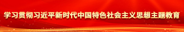 欧美吧日逼学习贯彻习近平新时代中国特色社会主义思想主题教育